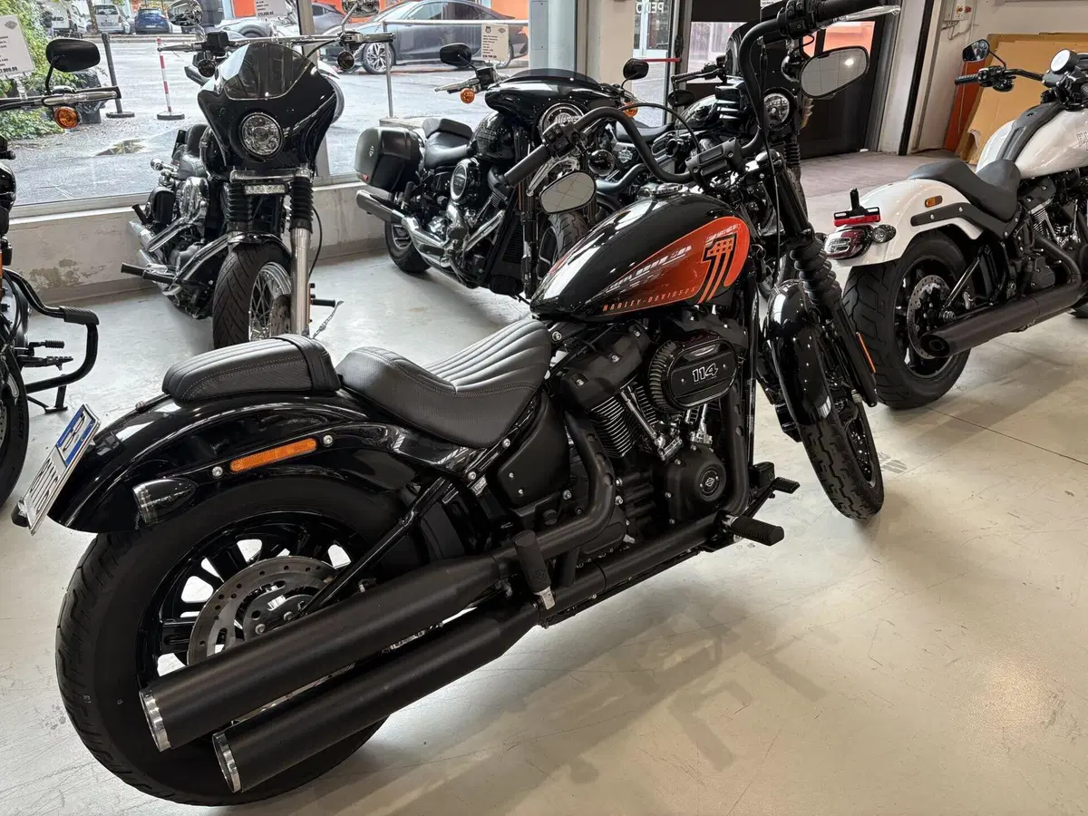 Harley-Davidson Street Bob 114 (2021 - 24) (2)