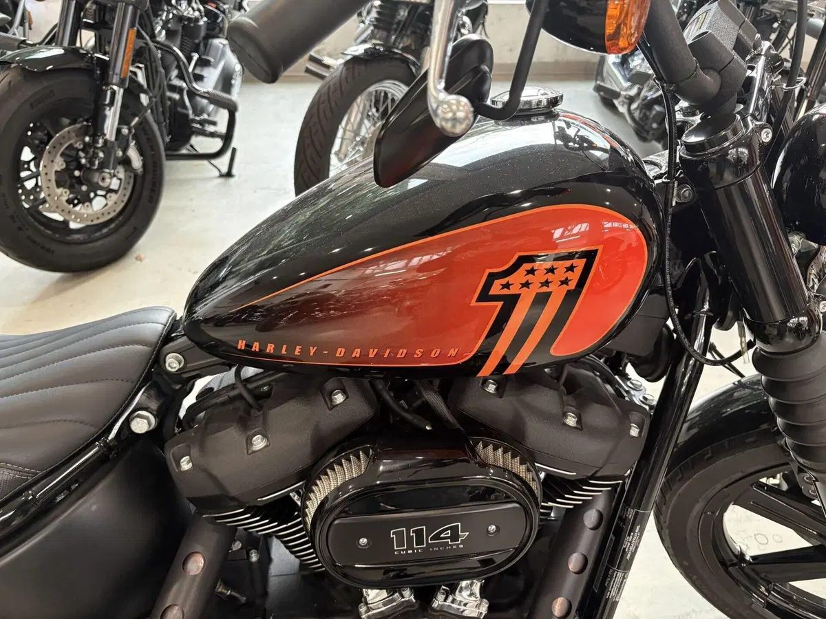 Harley-Davidson Street Bob 114 (2021 - 24) (3)