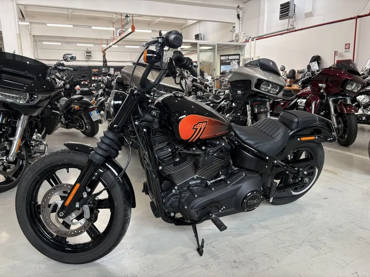 Harley-Davidson Street Bob 114 (2021 - 24) (4)
