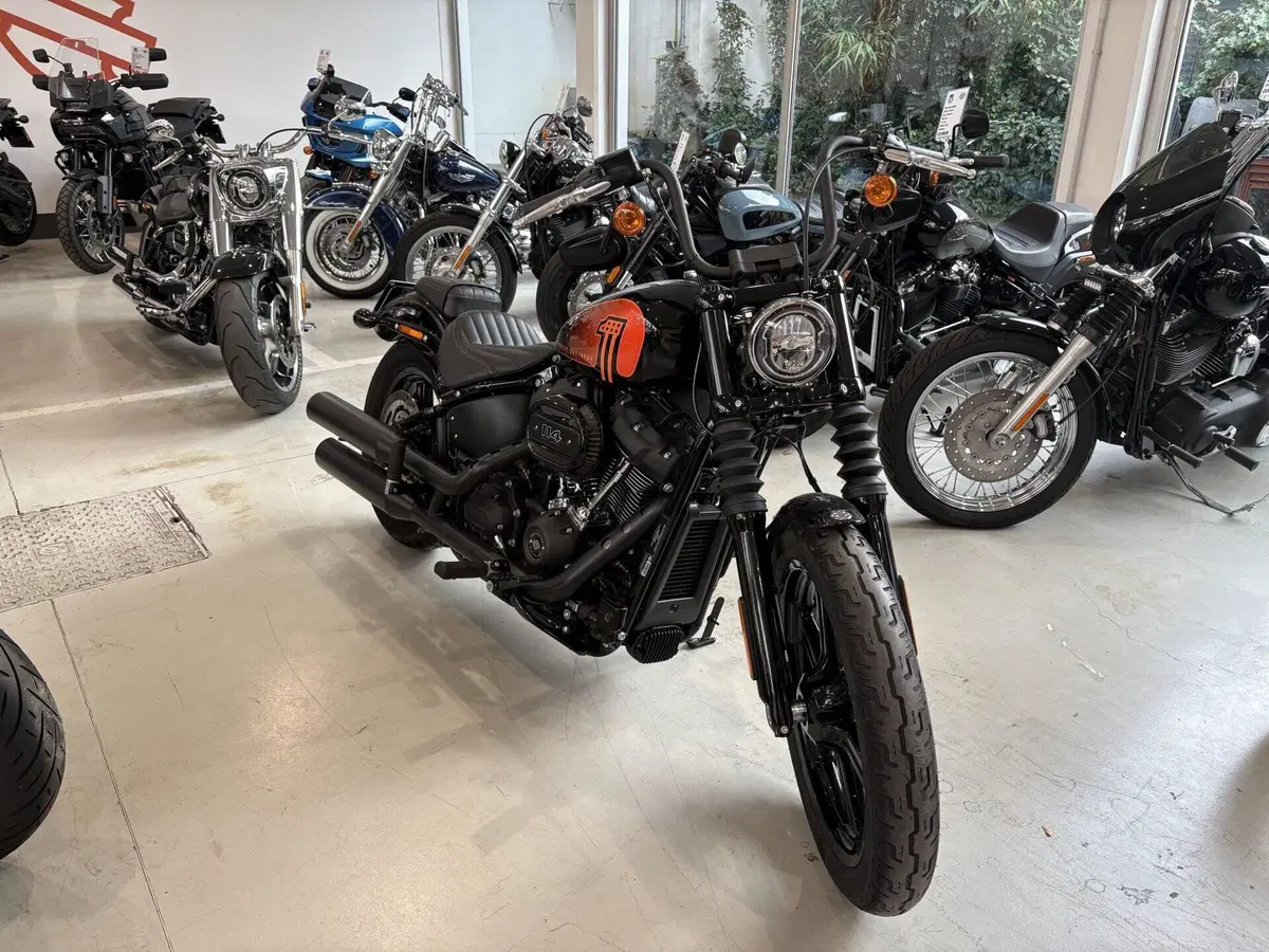 Harley-Davidson Street Bob 114 (2021 - 24) (5)