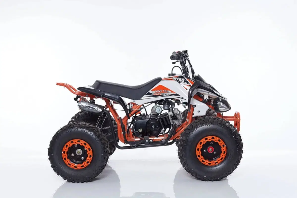  Altre moto o tipologie Quad (2)