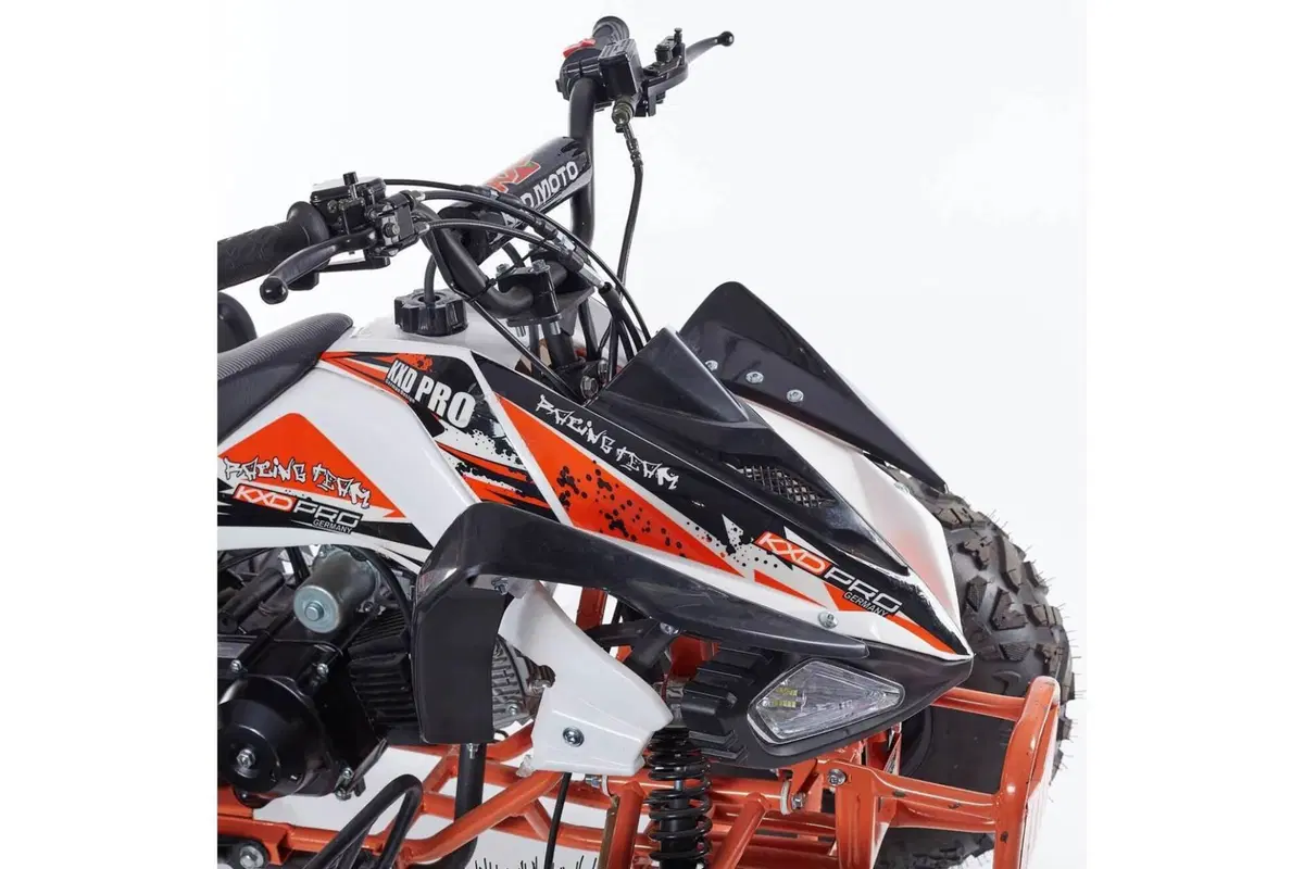  Altre moto o tipologie Quad (3)