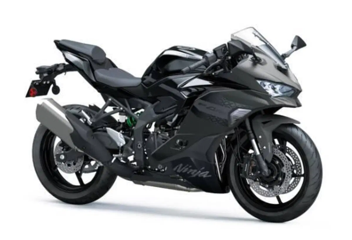 Kawasaki Ninja ZX-4RR (2024 - 27)