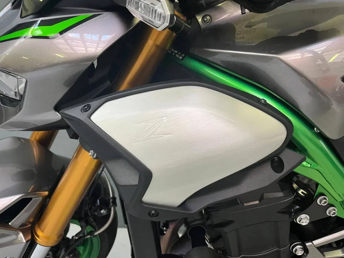Kawasaki Z 900 SE (2025 - 27) (8)