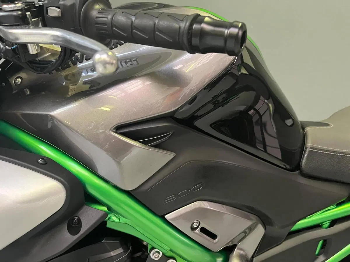 Kawasaki Z 900 SE (2025 - 27) (7)