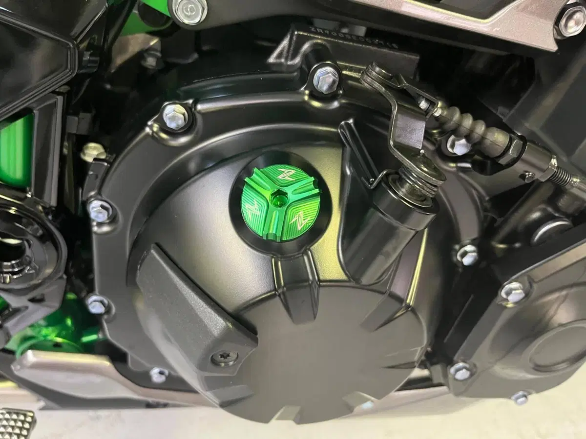 Kawasaki Z 900 SE (2025 - 27) (11)