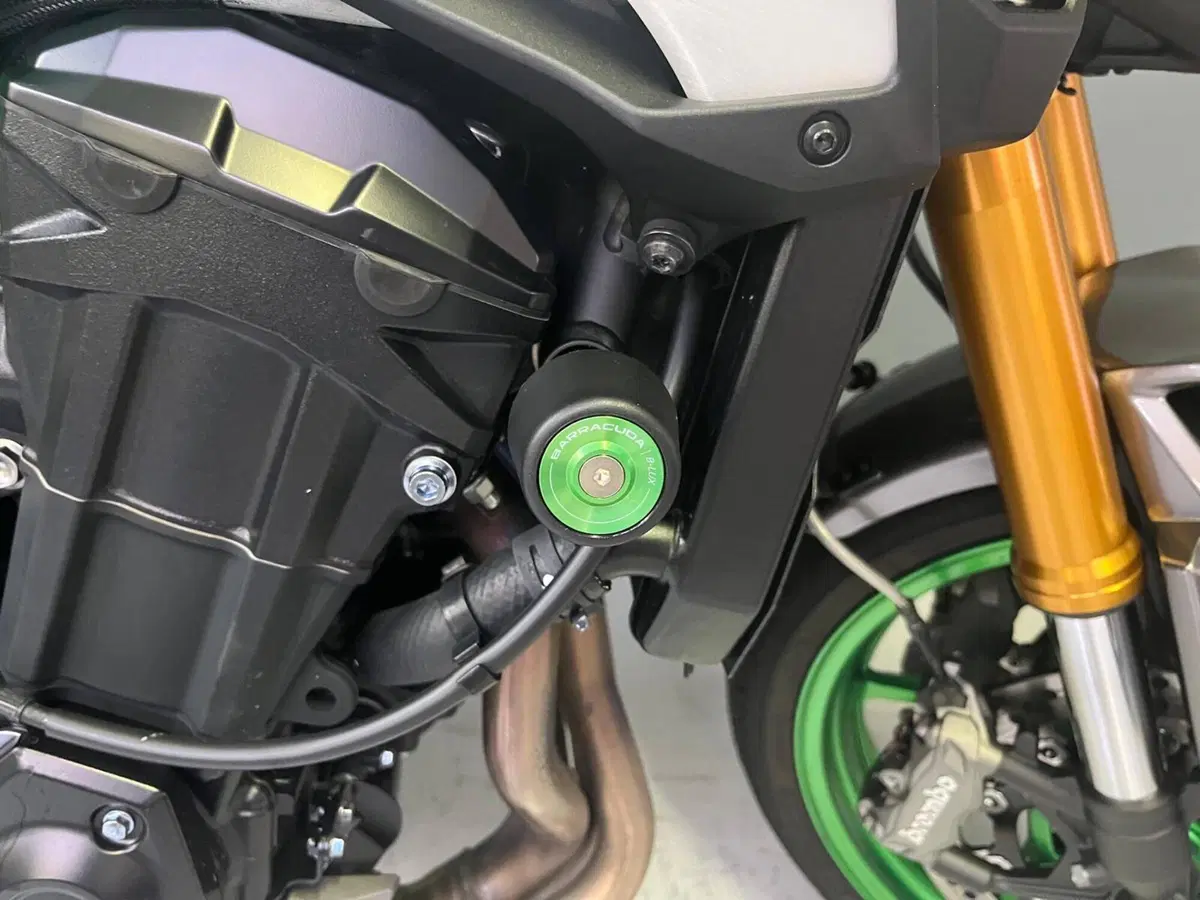 Kawasaki Z 900 SE (2025 - 27) (14)