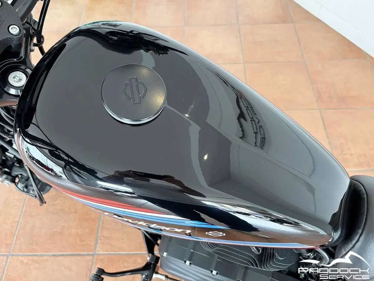 Harley-Davidson 1200 Iron (2018 - 20) - XL1200N (8)