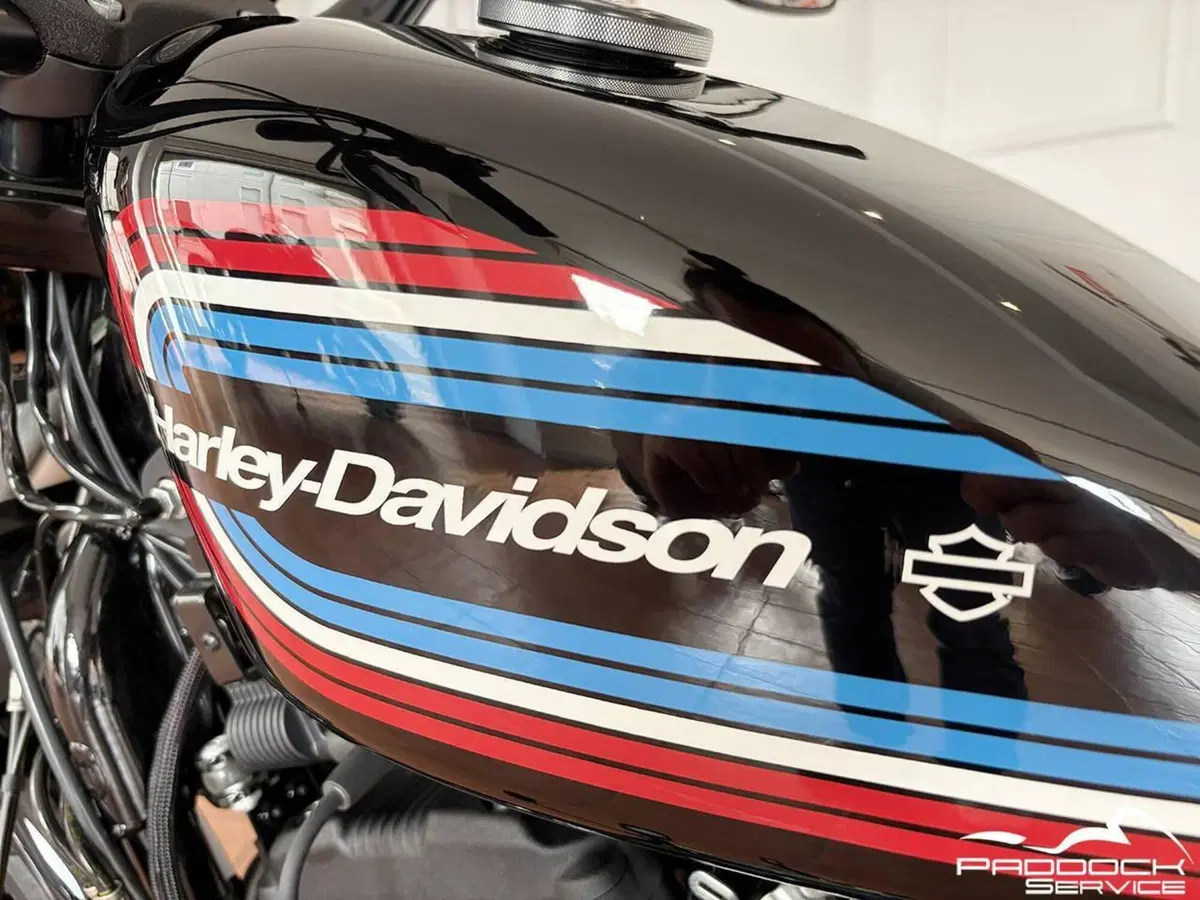 Harley-Davidson 1200 Iron (2018 - 20) - XL1200N (9)