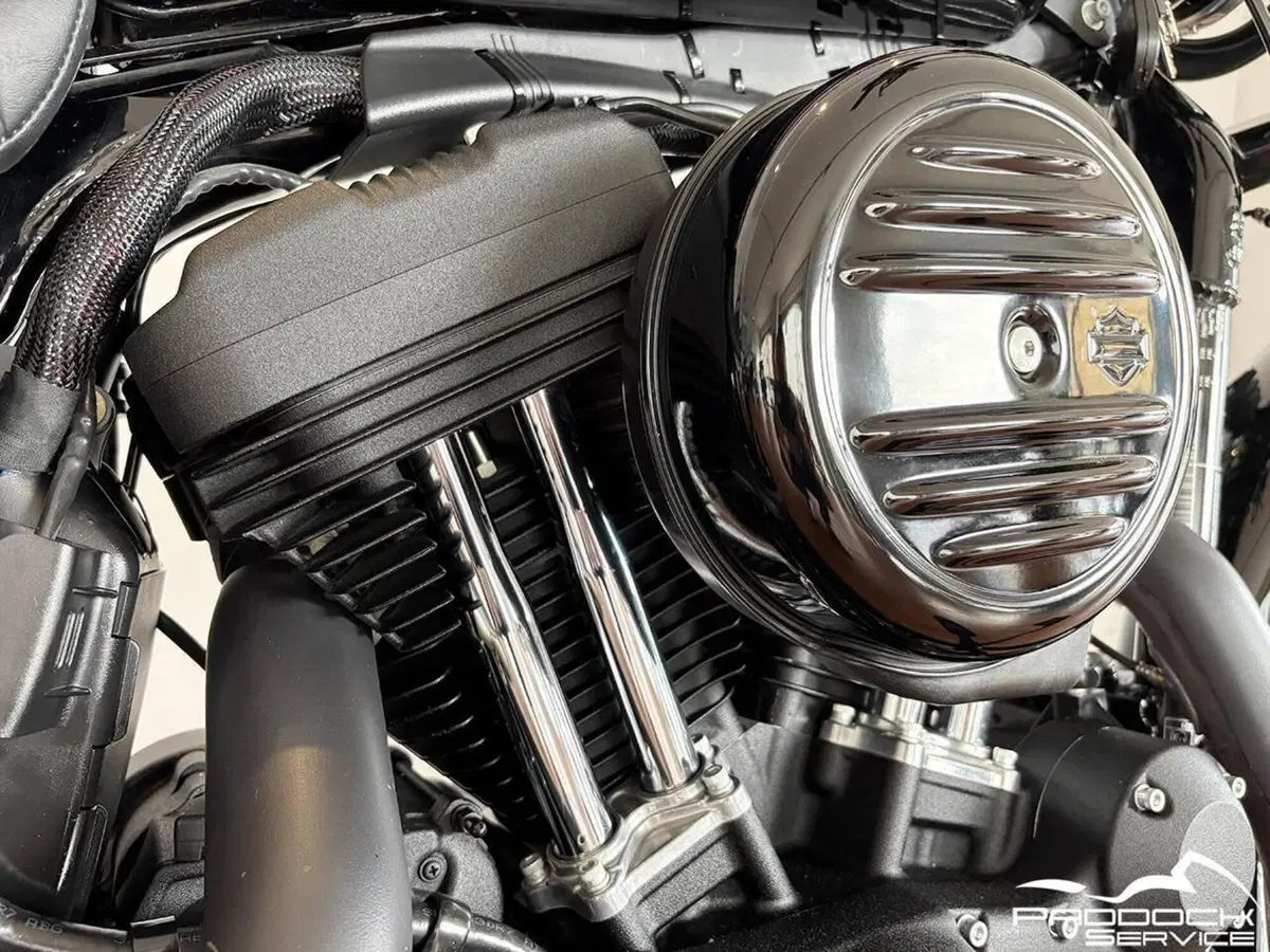 Harley-Davidson 1200 Iron (2018 - 20) - XL1200N (14)