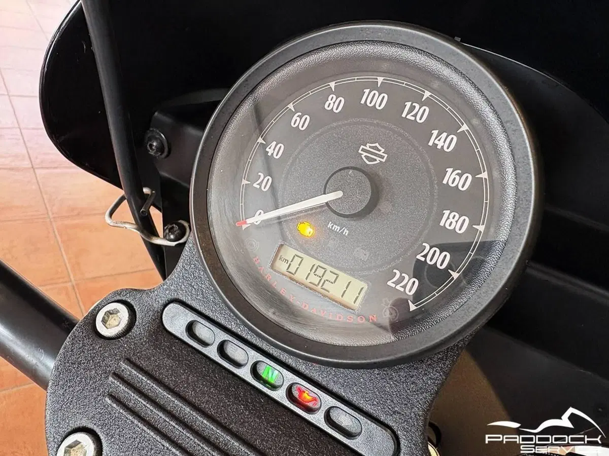 Harley-Davidson 1200 Iron (2018 - 20) - XL1200N (17)