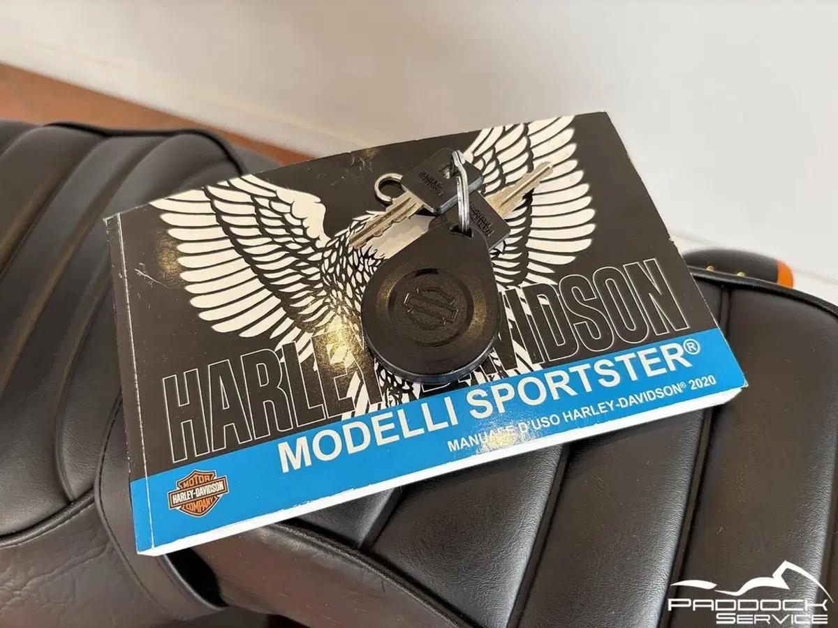 Harley-Davidson 1200 Iron (2018 - 20) - XL1200N (18)