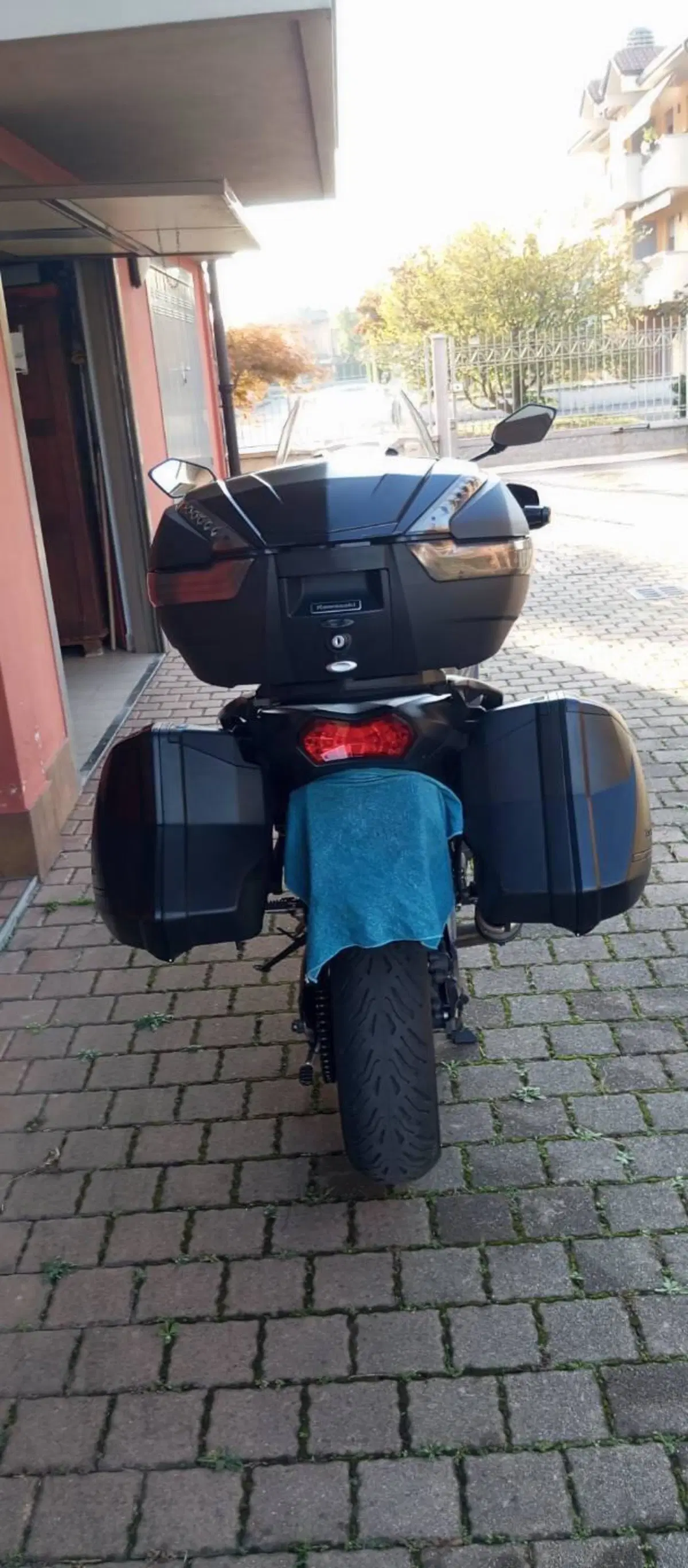 Kawasaki Versys 1000 Grand Tourer SE (2019 - 20) (3)