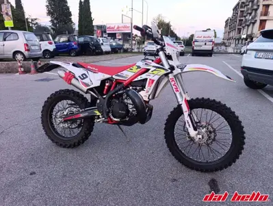 Betamotor Xtrainer 300 2t (2015 - 16) usata