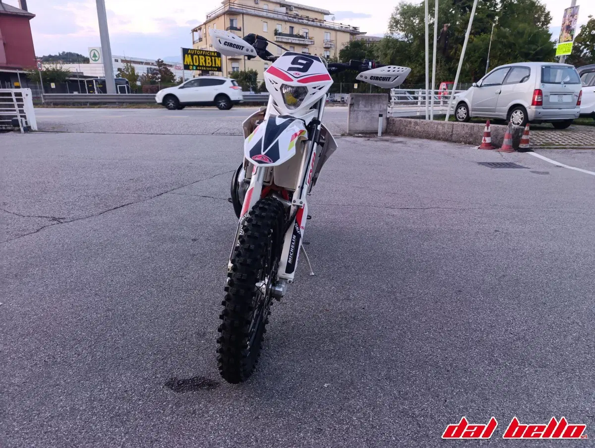 Betamotor Xtrainer 300 2t (2015 - 16) (3)