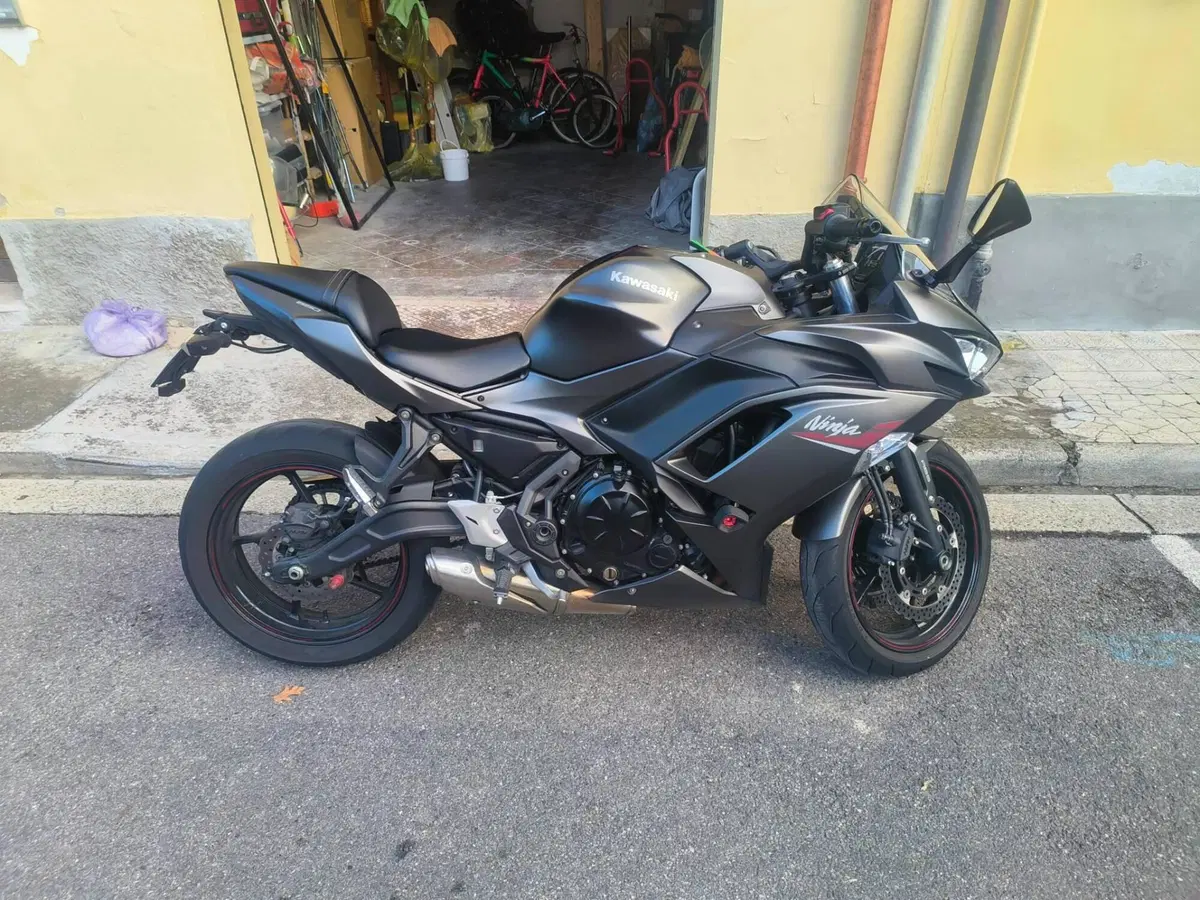 Kawasaki Ninja 650 (2021 - 24) (2)