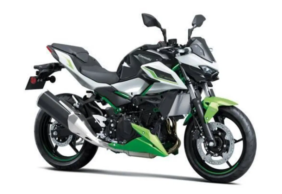 Kawasaki Z 500 SE (2024 - 27)