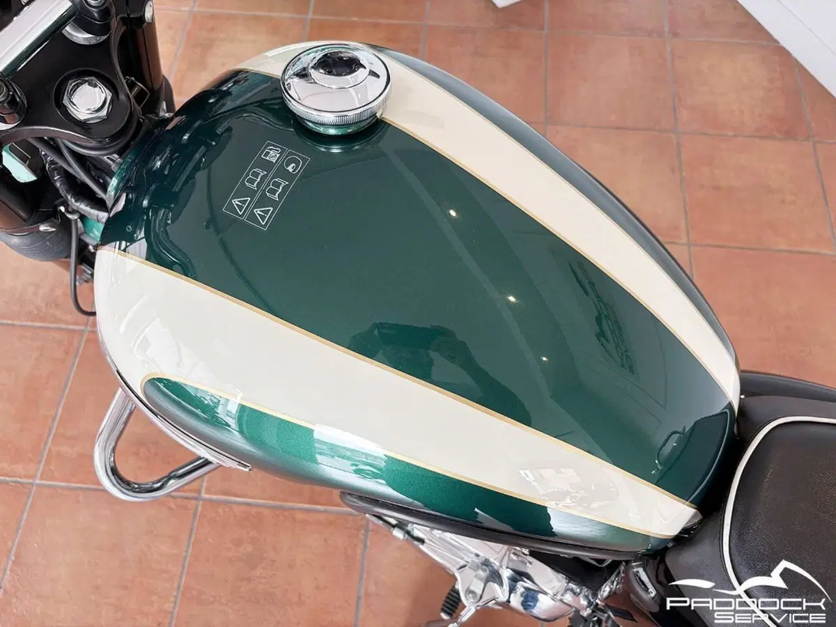 Triumph Bonneville T100 (2008 - 16) (7)
