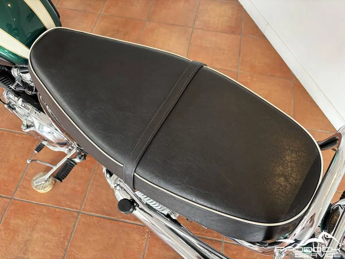Triumph Bonneville T100 (2008 - 16) (9)