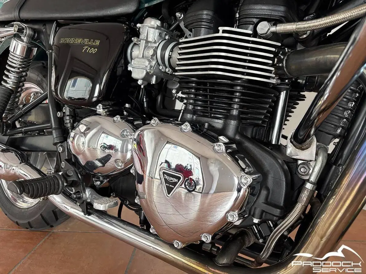 Triumph Bonneville T100 (2008 - 16) (12)