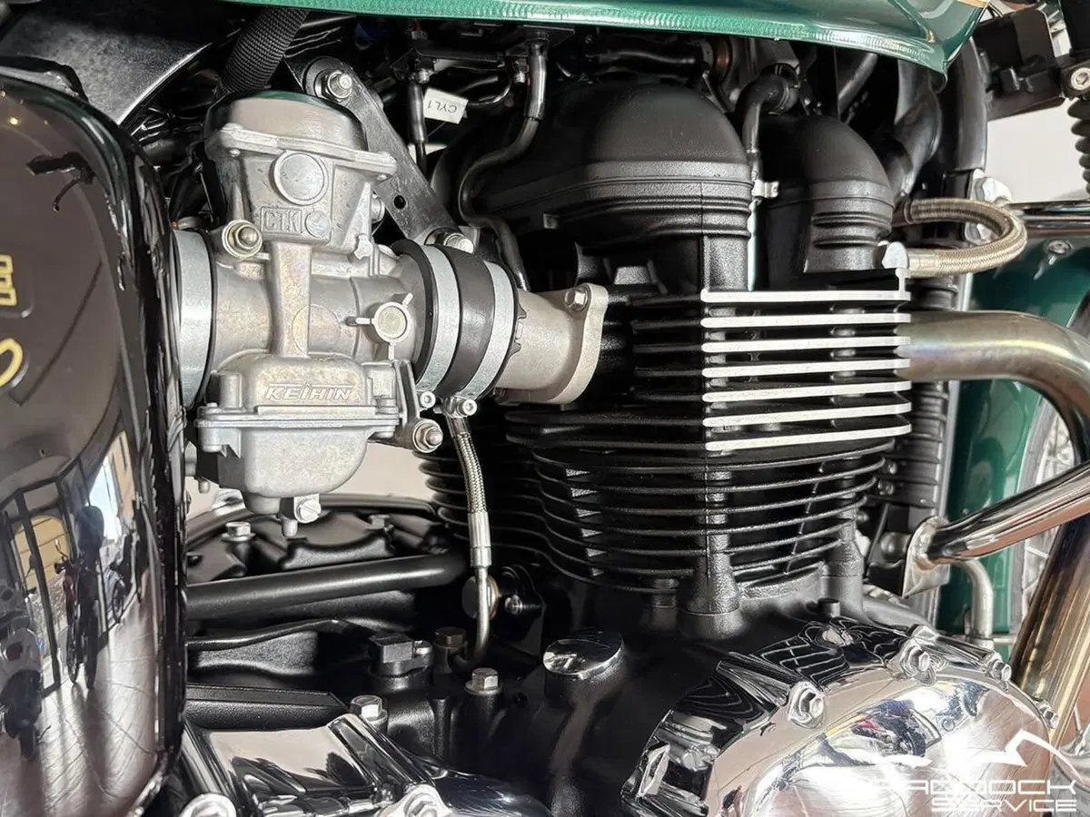 Triumph Bonneville T100 (2008 - 16) (13)