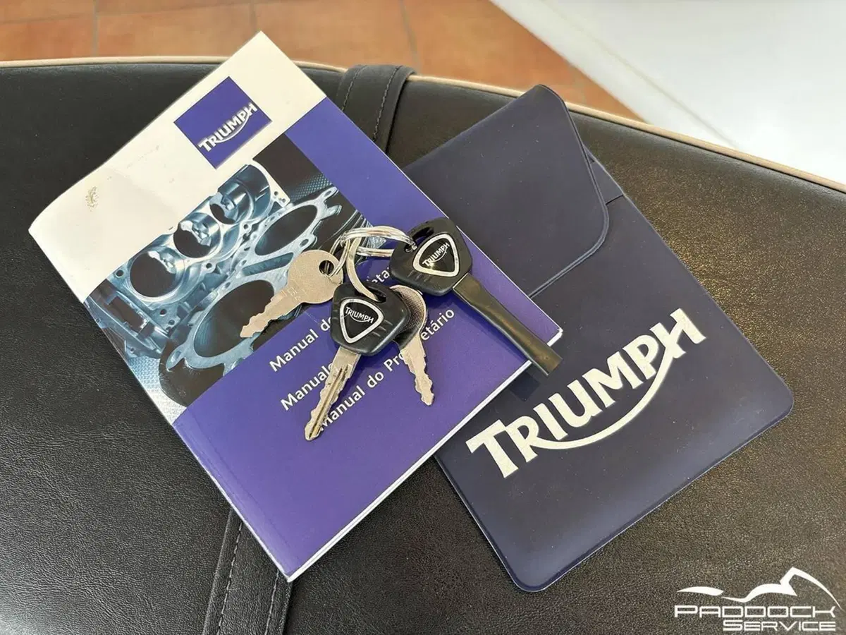 Triumph Bonneville T100 (2008 - 16) (18)