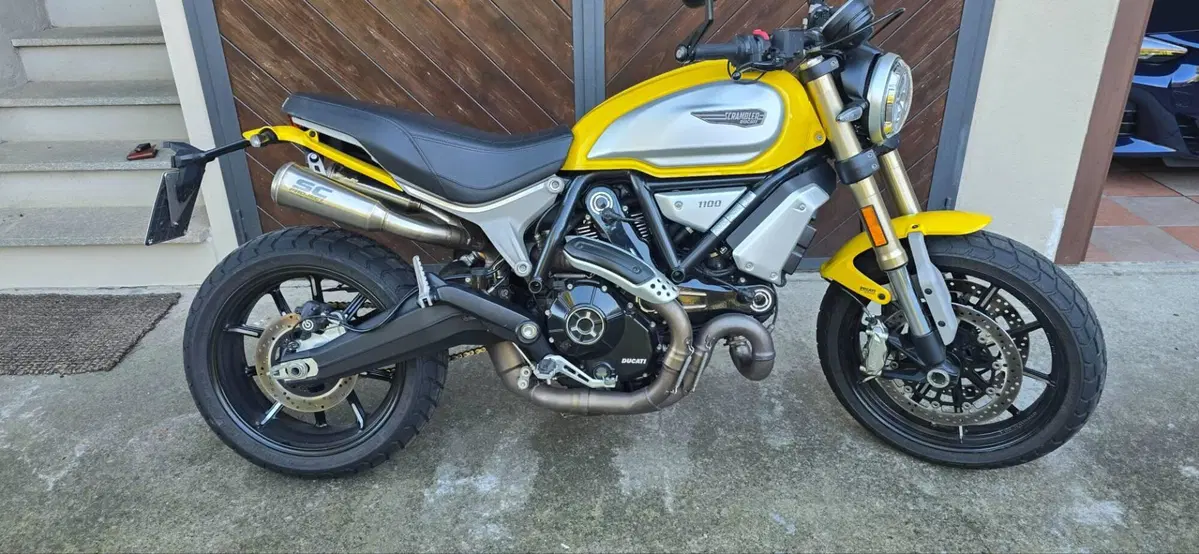 Ducati Scrambler 1100 (2018 - 20) (5)