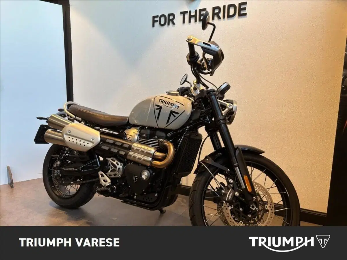 Triumph Scrambler 1200 X (2024 - 26) (3)