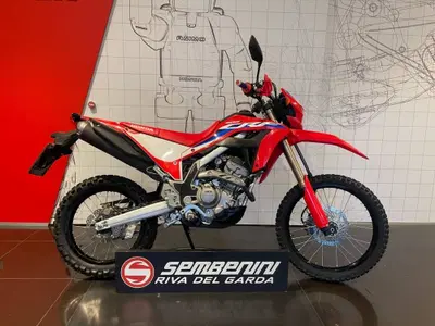 Honda CRF 300L (2021 - 24) usata