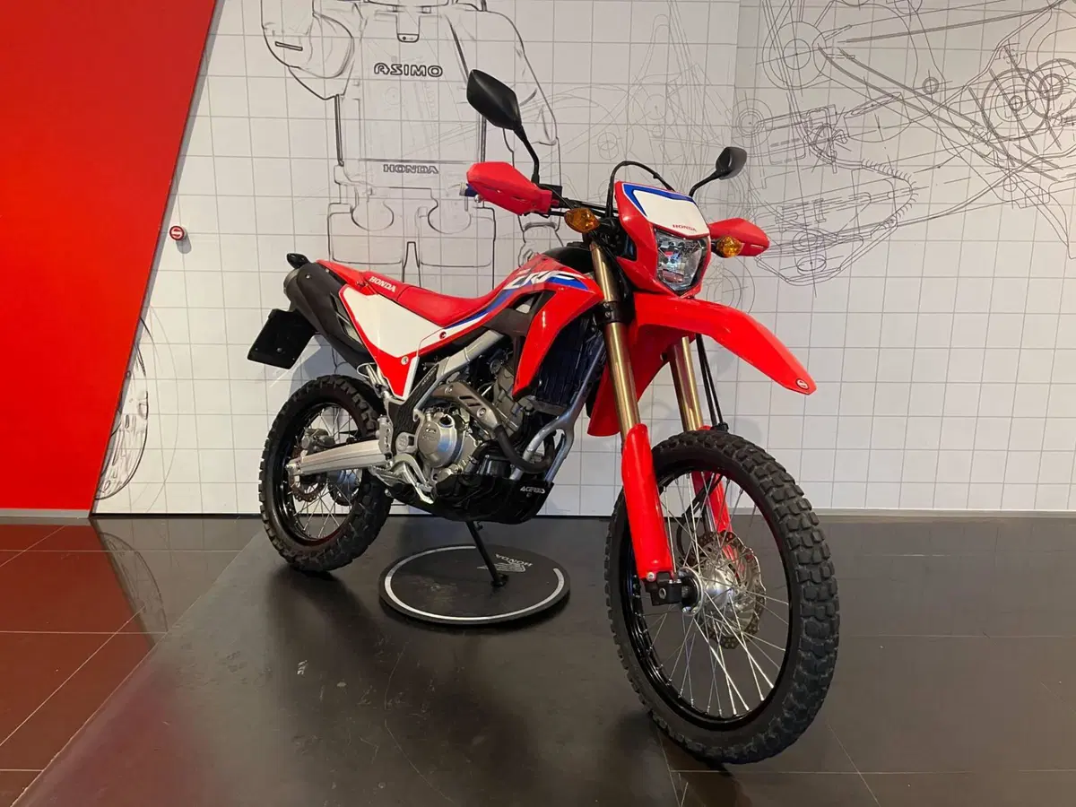 Honda CRF 300L (2021 - 24) (3)