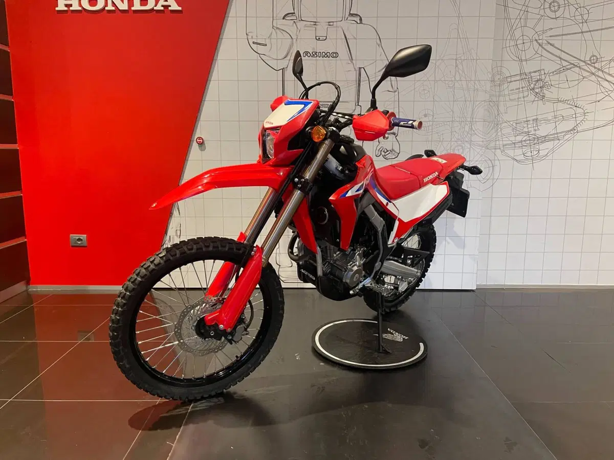 Honda CRF 300L (2021 - 24) (5)