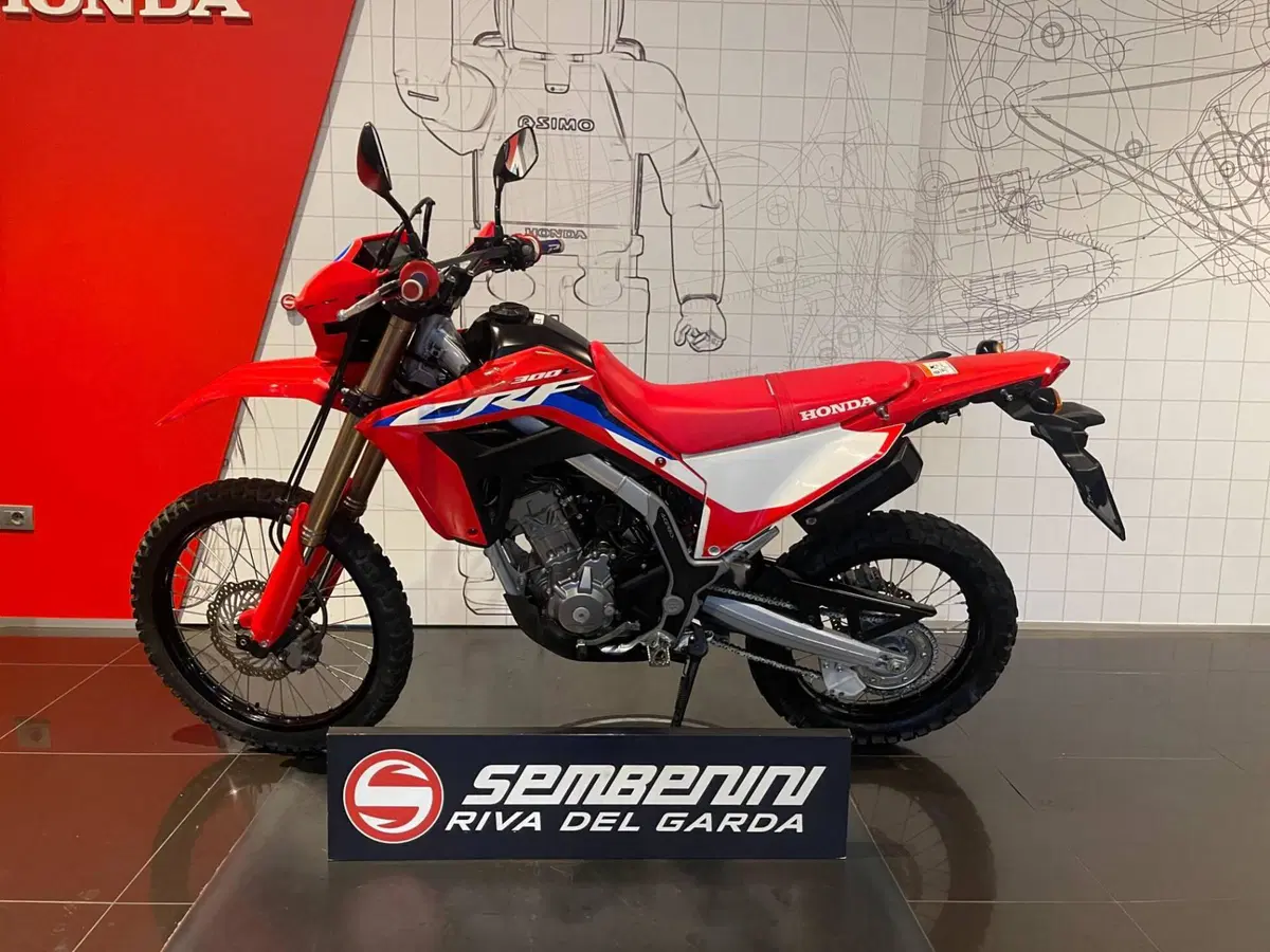 Honda CRF 300L (2021 - 24) (7)