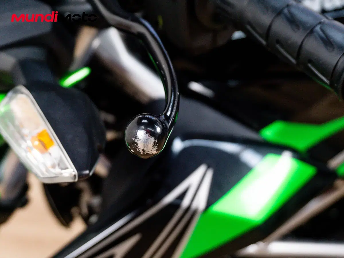 Kawasaki Z 125 Sport (2021 - 24) (13)