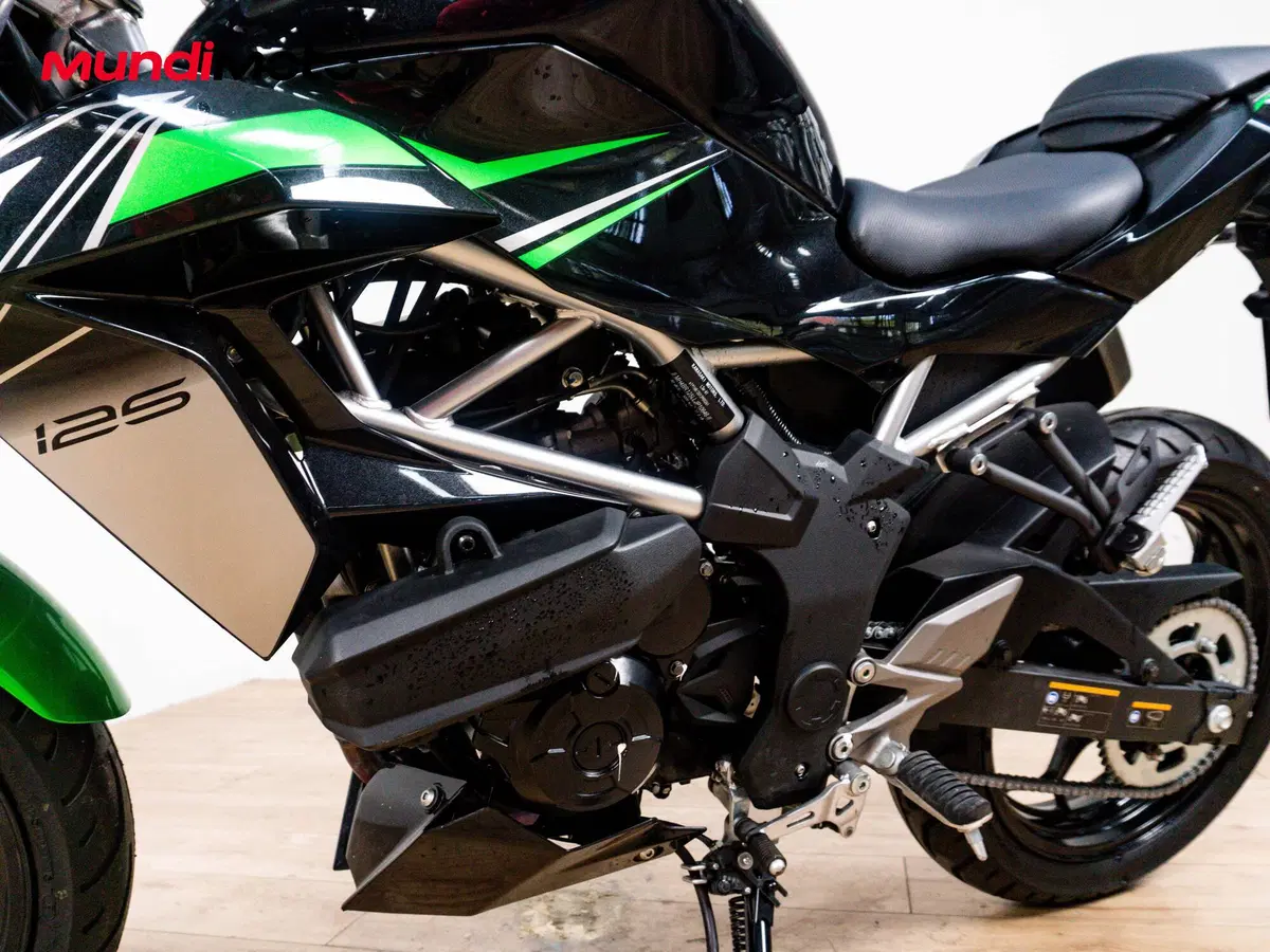 Kawasaki Z 125 Sport (2021 - 24) (9)