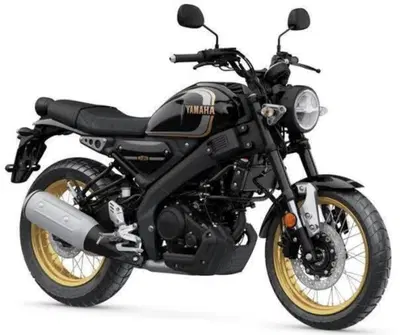 Yamaha XSR 125 Legacy (2022 - 24) usata