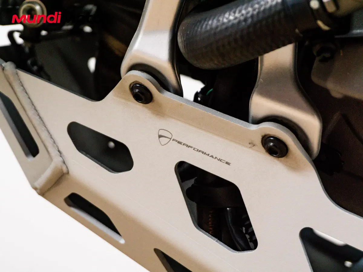 Ducati DesertX (2022 - 25) (13)