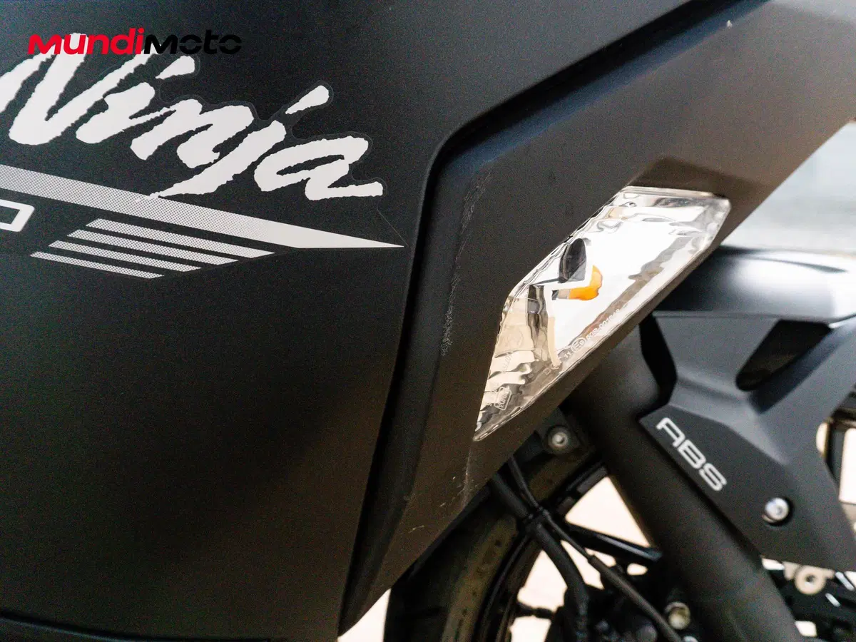 Kawasaki Ninja 500 (2024 - 27) (13)