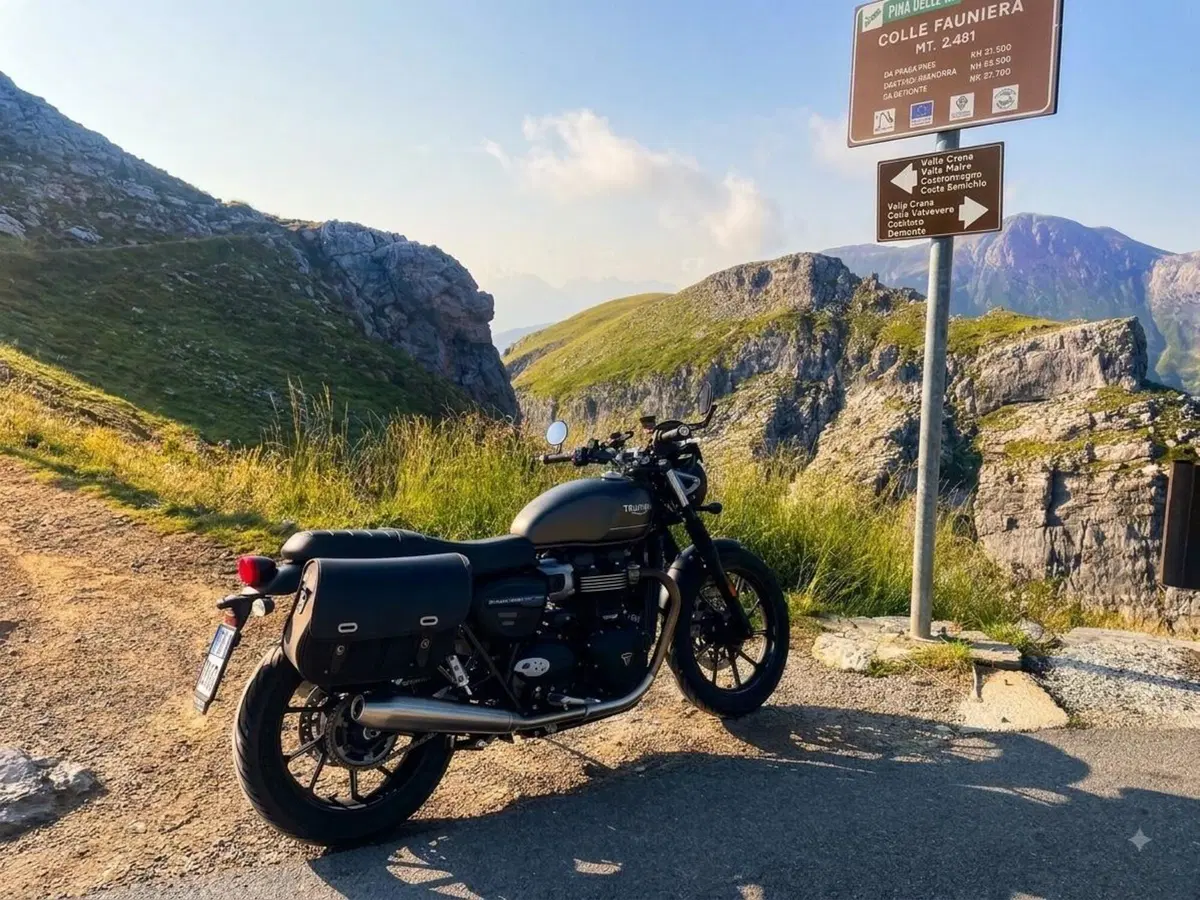 Triumph Speed Twin 900 (2023 - 24) (6)