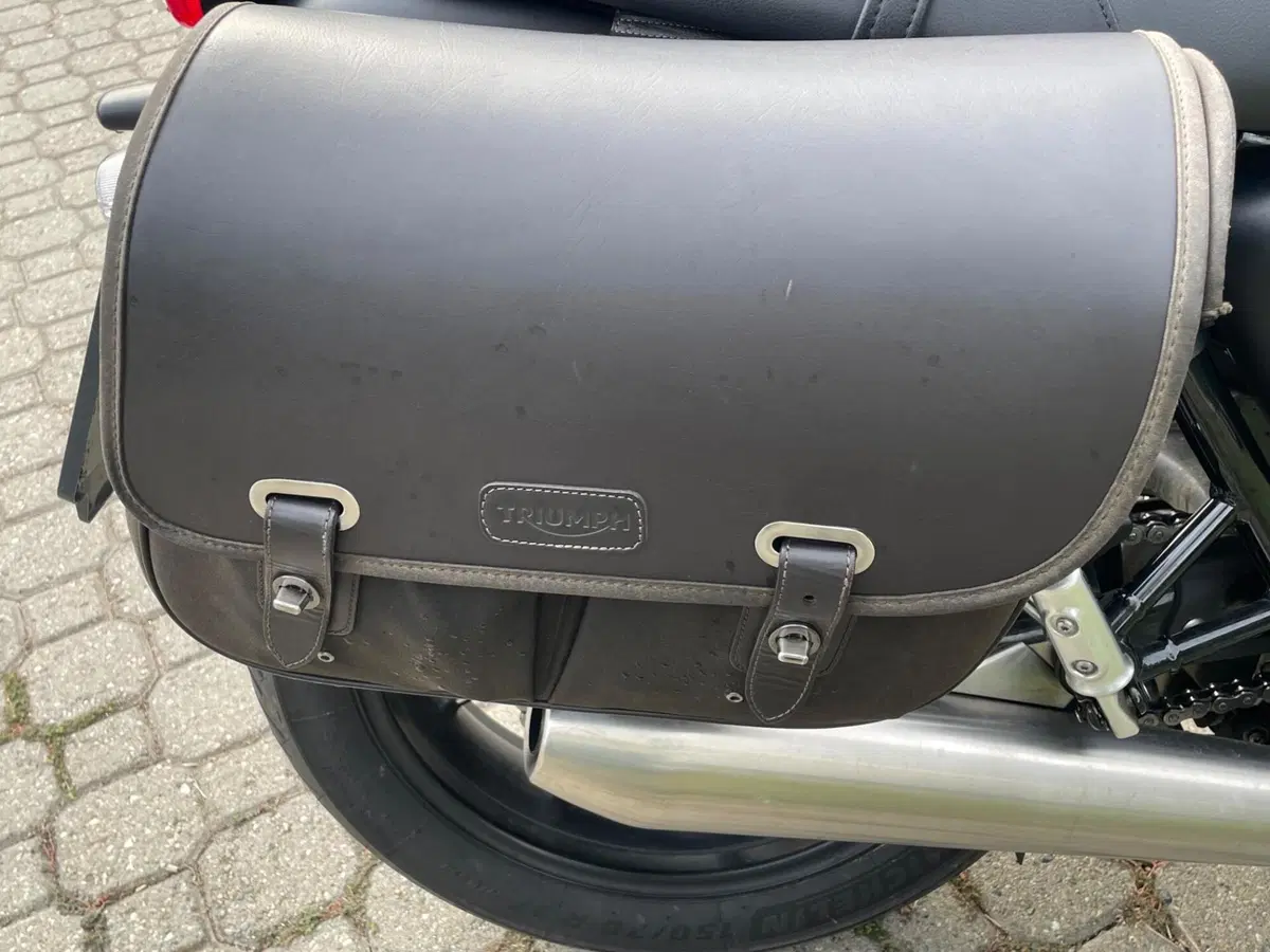 Triumph Speed Twin 900 (2023 - 24) (15)