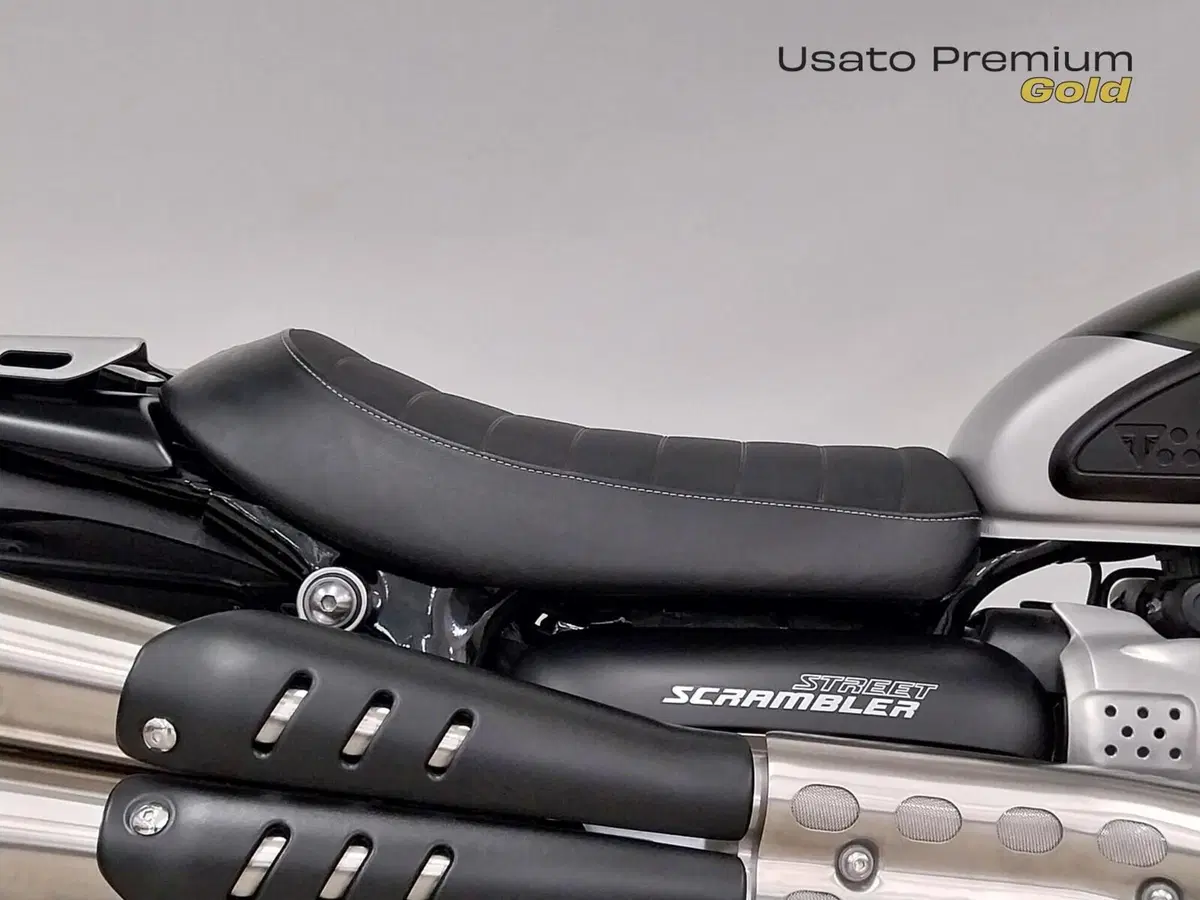 Triumph Street Scrambler 900 (2019 - 20) (7)