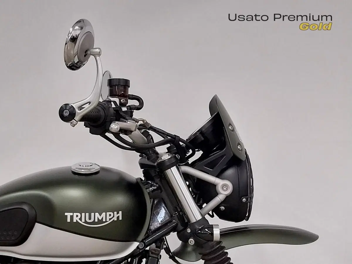 Triumph Street Scrambler 900 (2019 - 20) (9)
