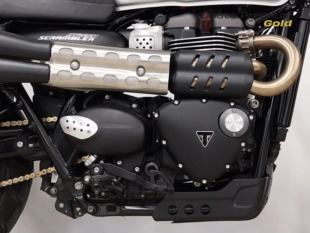 Triumph Street Scrambler 900 (2019 - 20) (12)