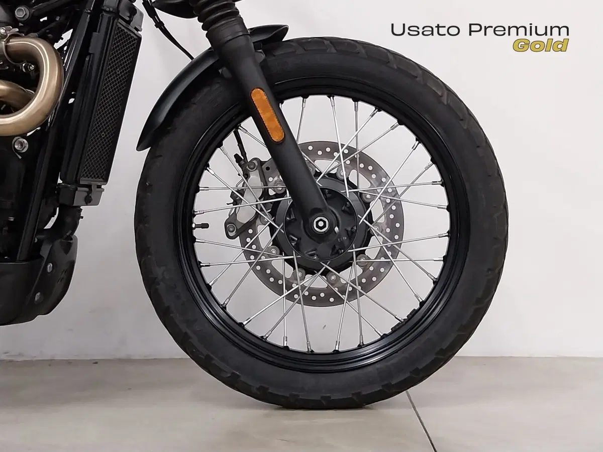 Triumph Street Scrambler 900 (2019 - 20) (13)