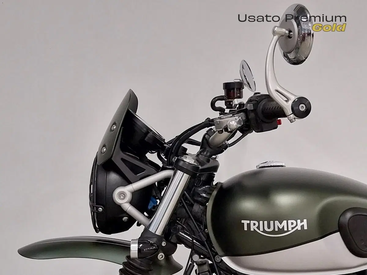 Triumph Street Scrambler 900 (2019 - 20) (14)