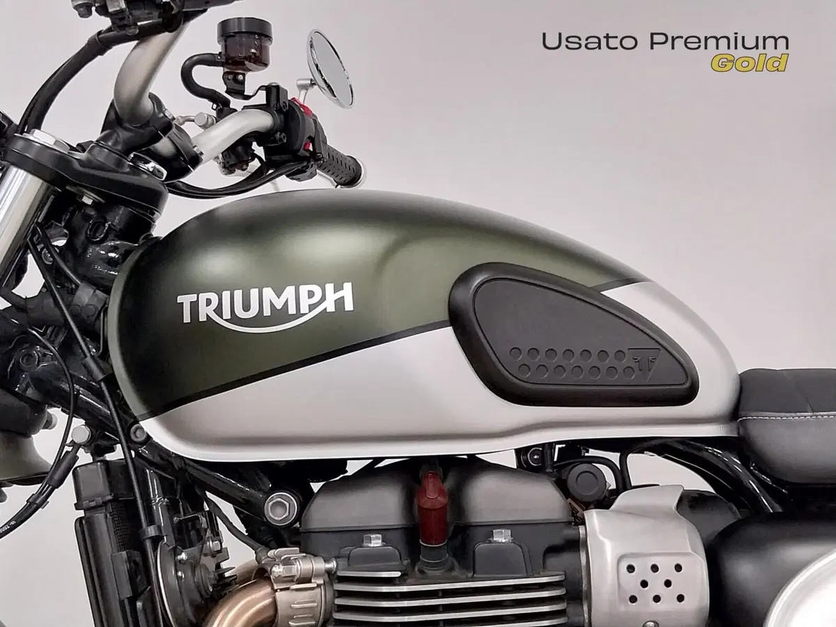 Triumph Street Scrambler 900 (2019 - 20) (15)