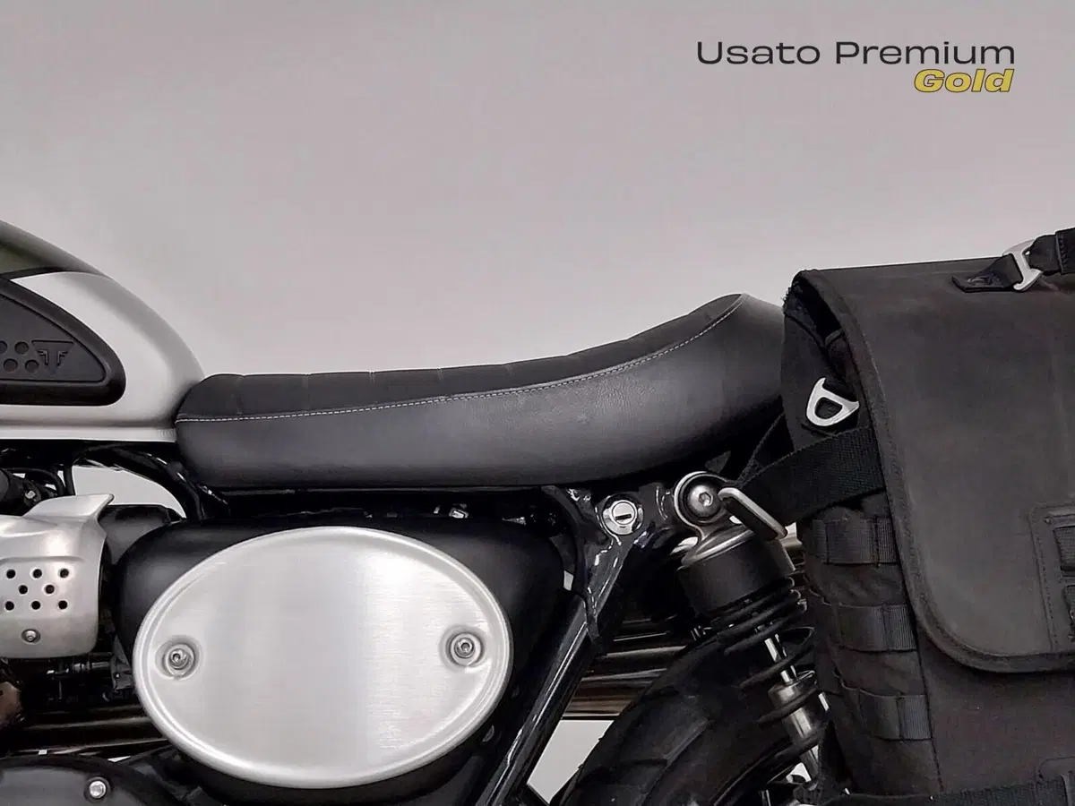 Triumph Street Scrambler 900 (2019 - 20) (16)