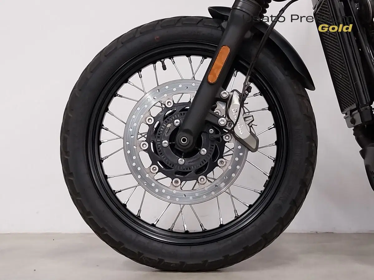 Triumph Street Scrambler 900 (2019 - 20) (18)