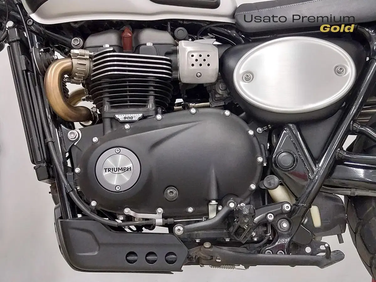 Triumph Street Scrambler 900 (2019 - 20) (19)