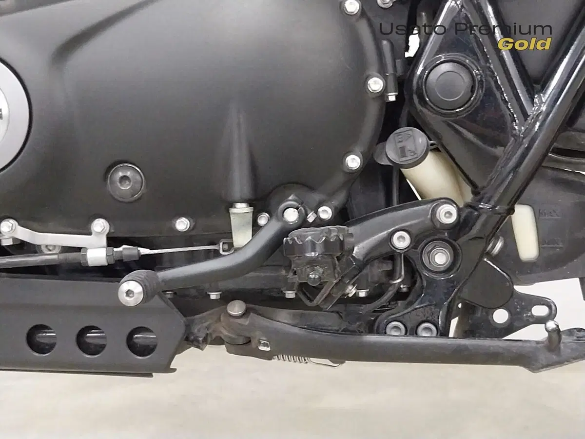 Triumph Street Scrambler 900 (2019 - 20) (20)