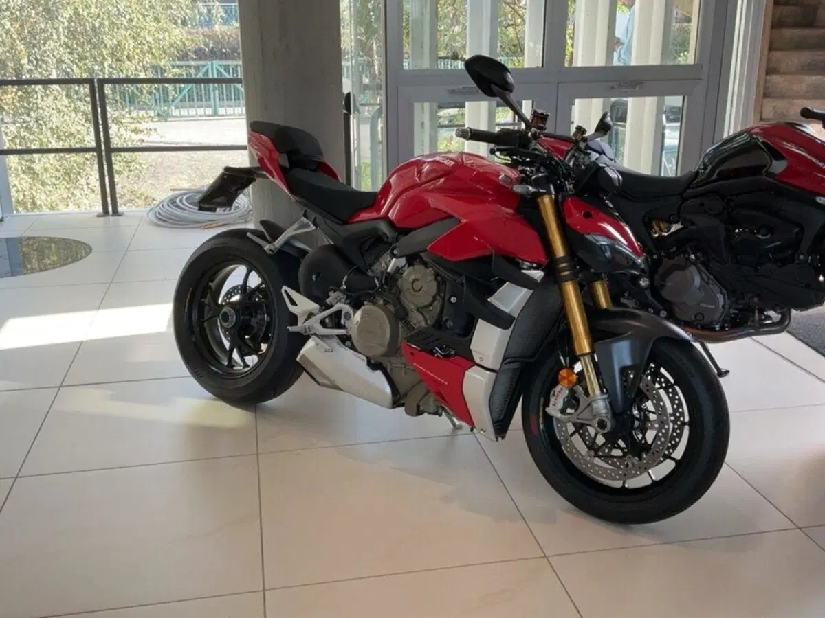 Ducati Streetfighter V4 1100 S (2021 - 22) (3)